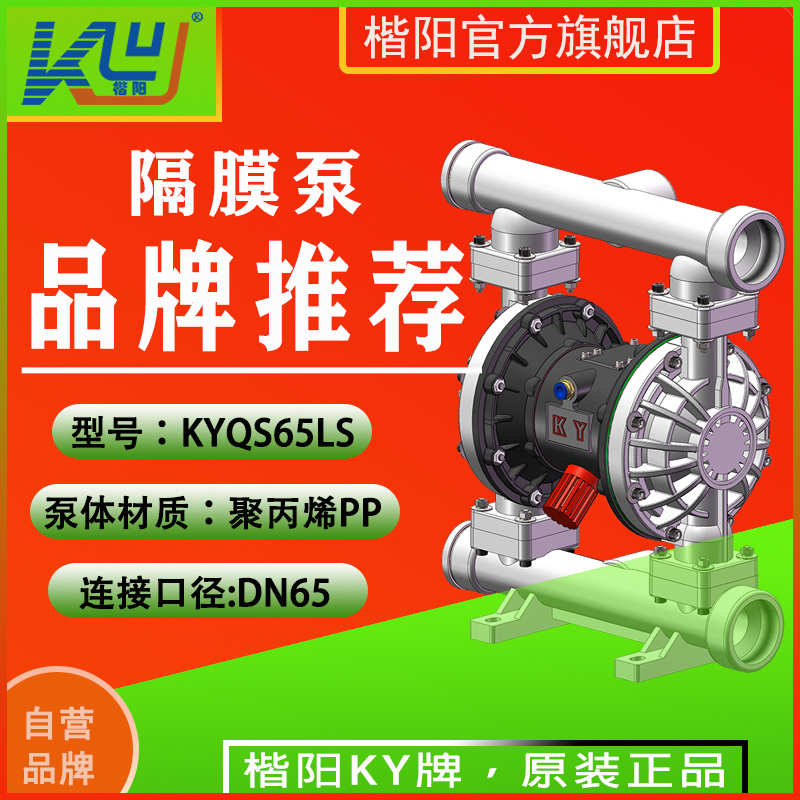 KYQS65LS增強(qiáng)聚丙烯氣動(dòng)隔膜泵3