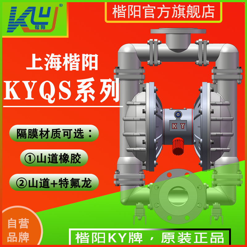 KYQS100LC4不銹鋼襯氟氣動(dòng)隔膜泵3