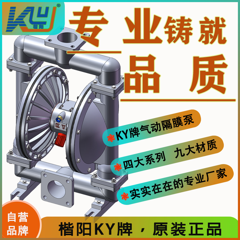 KYQ100LL合金氣動(dòng)隔膜泵4